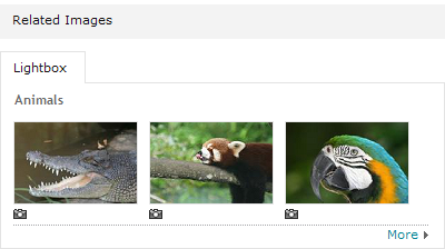 animals