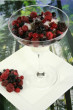 Fruits Of The Forest Photo