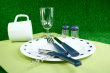 Picnic Setting Photo