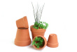 Herb Garden Photo