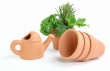 Herb Garden Photo