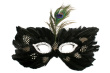 Fancy Dress Mask Photo