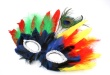 Fancy Dress Mask Photo