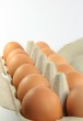 Eggs Photo