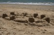 Sand Castles Photo