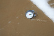 Beach Time Photo