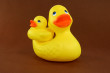 Rubber Duck Photo