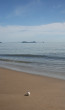 Lost In Paradise Photo
