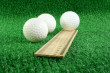 Golf Rules Photo