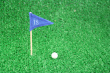 Golf Photo
