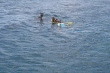 Snorkel Photo