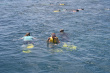 Snorkel Photo