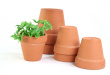 Garden Pots Photo