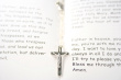Lords Prayer Photo