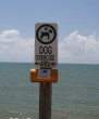 Sign For Pets Photo